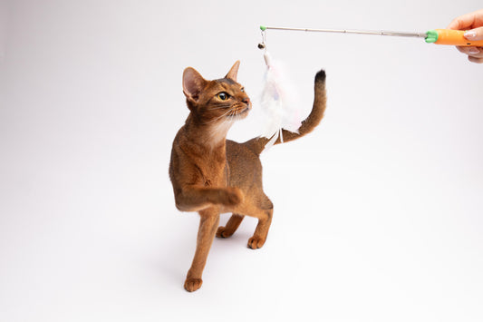 Carrot-Shaped Cat Laser Pointer