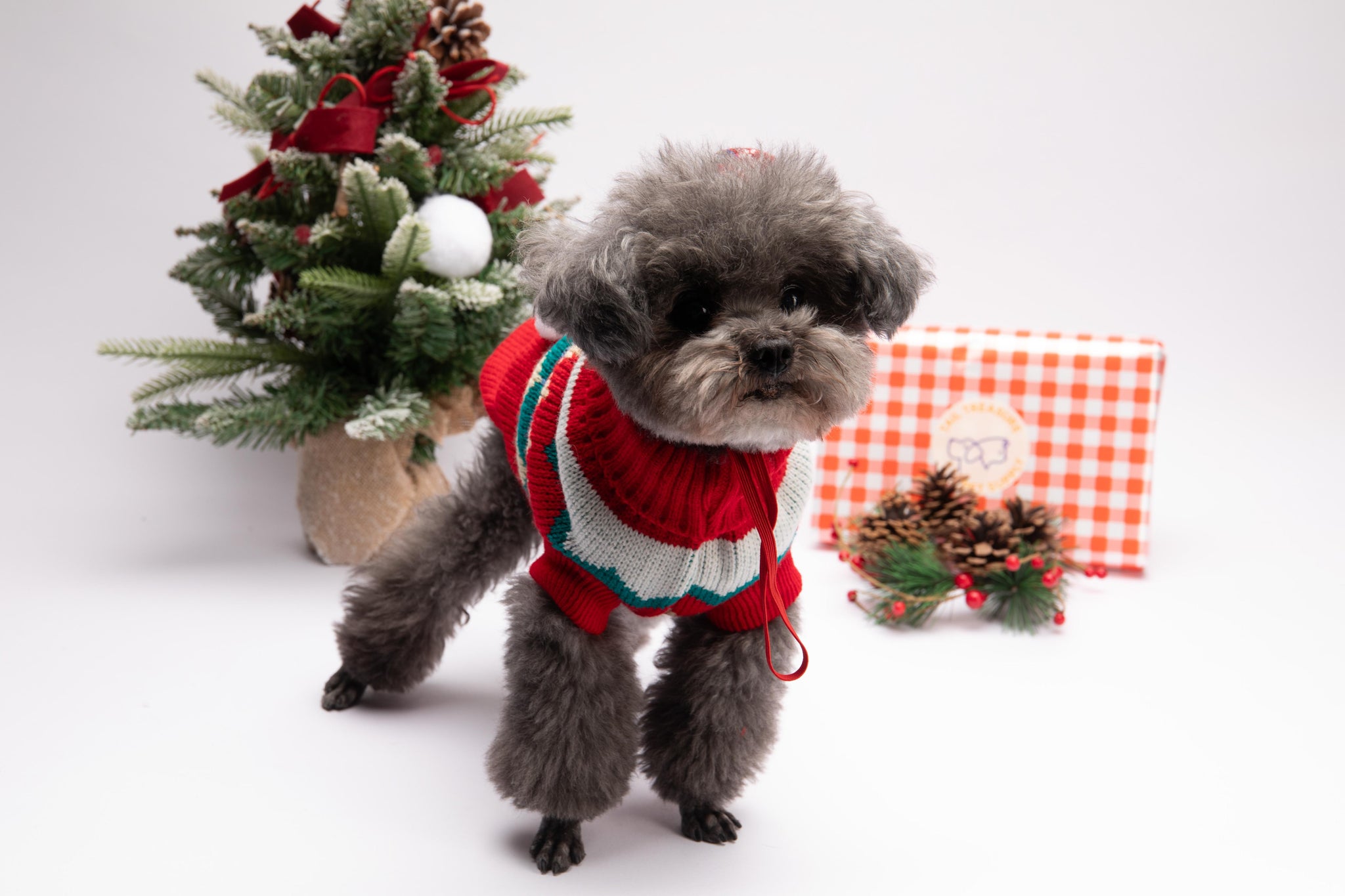 🎄Festive Red Christmas Sweater 🎄