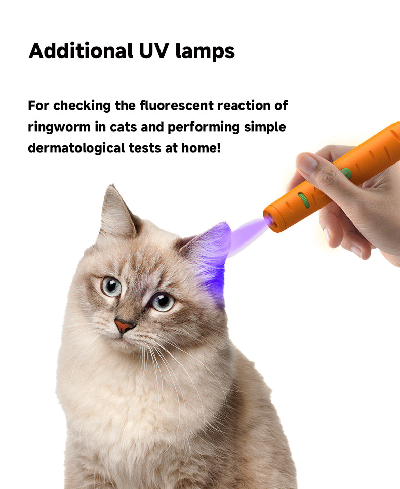 Carrot-Shaped Cat Laser Pointer